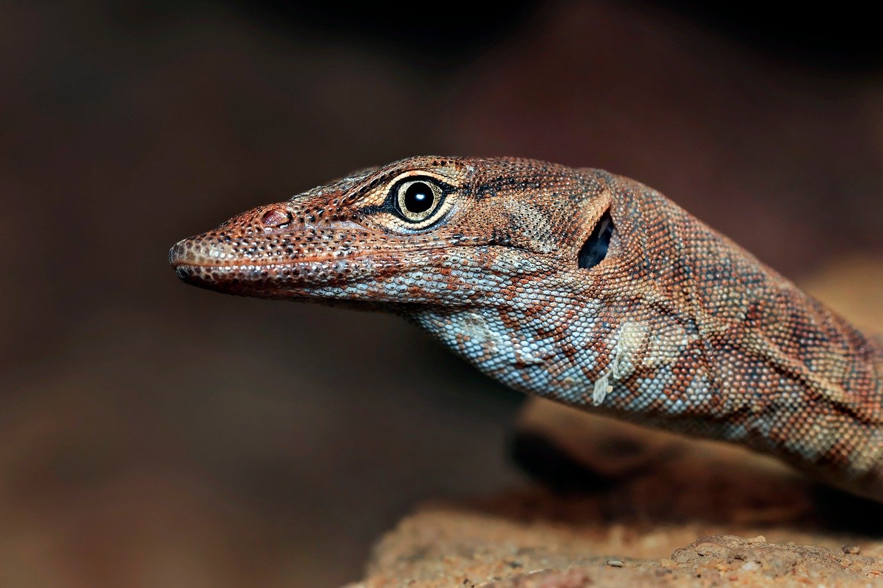 バレないピル通販おすすめの選び方は？