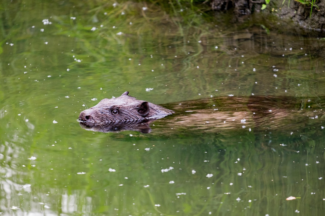 メデリピルの配送時に注意すべき梱包方法は？