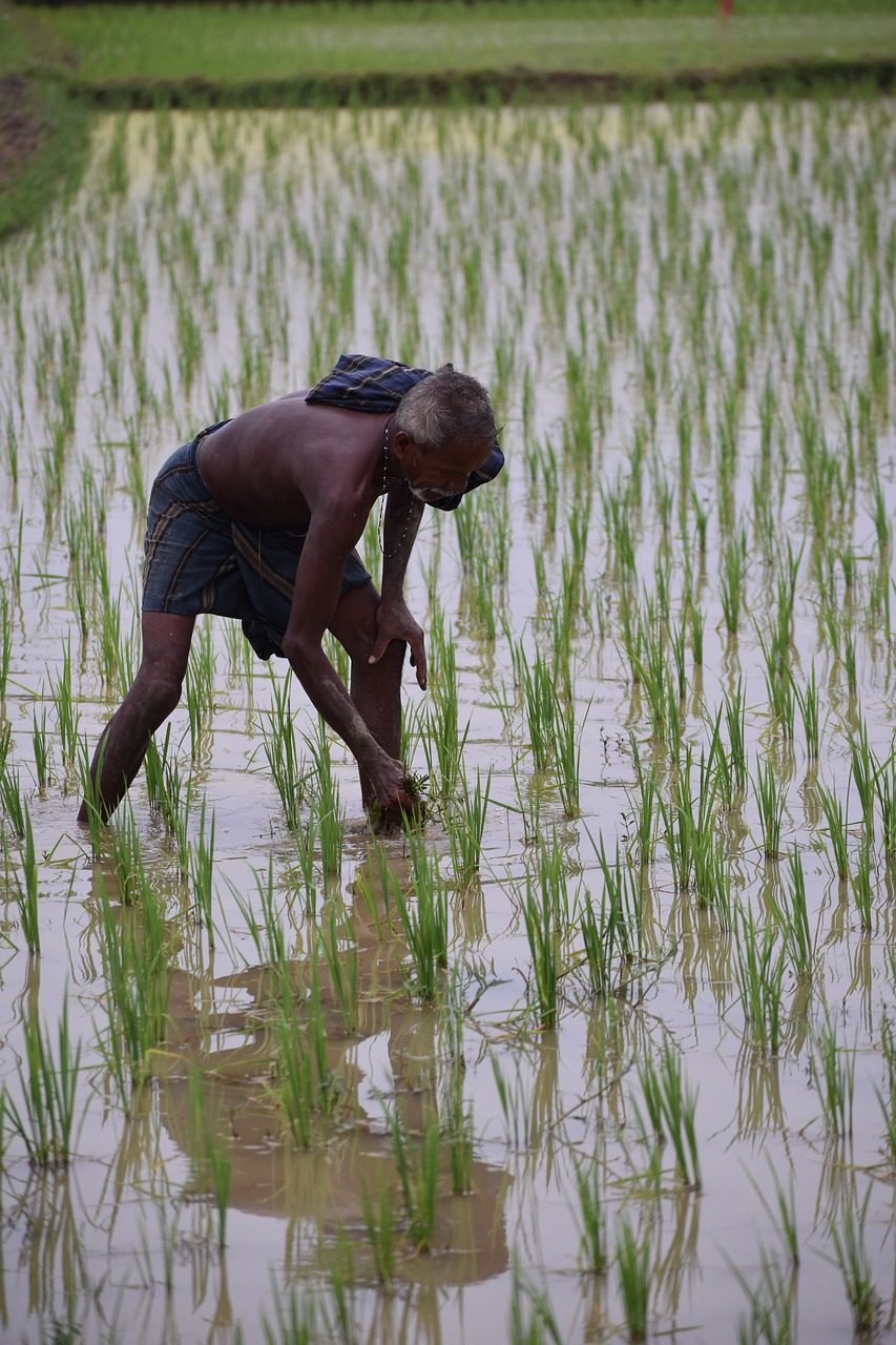 体外受精で胚移植の際に何個選ぶべきかのポイントは？