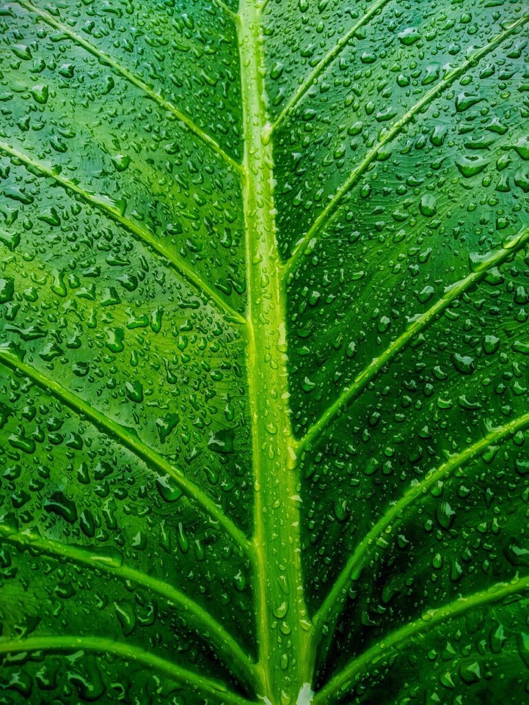 体外受精中に仕事を続けるべきか辞めるべきかの悩みとは？