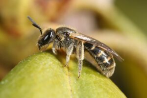 体外受精での採卵キャンセルの理由とは？