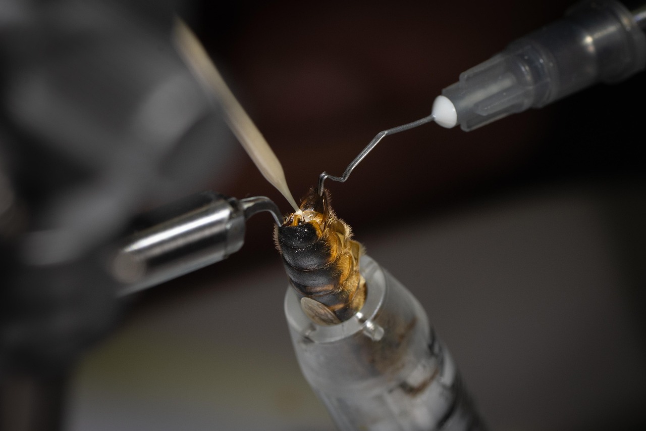 体外受精の成功のためにおすすめの食事は？