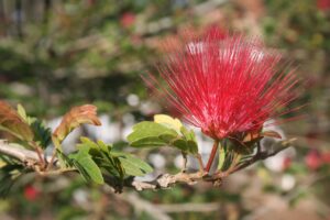 不妊治療に通院する際の会社への配慮の依頼方法は？