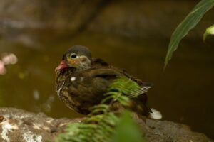 体外受精を年末年始に通院する場合はどうする？