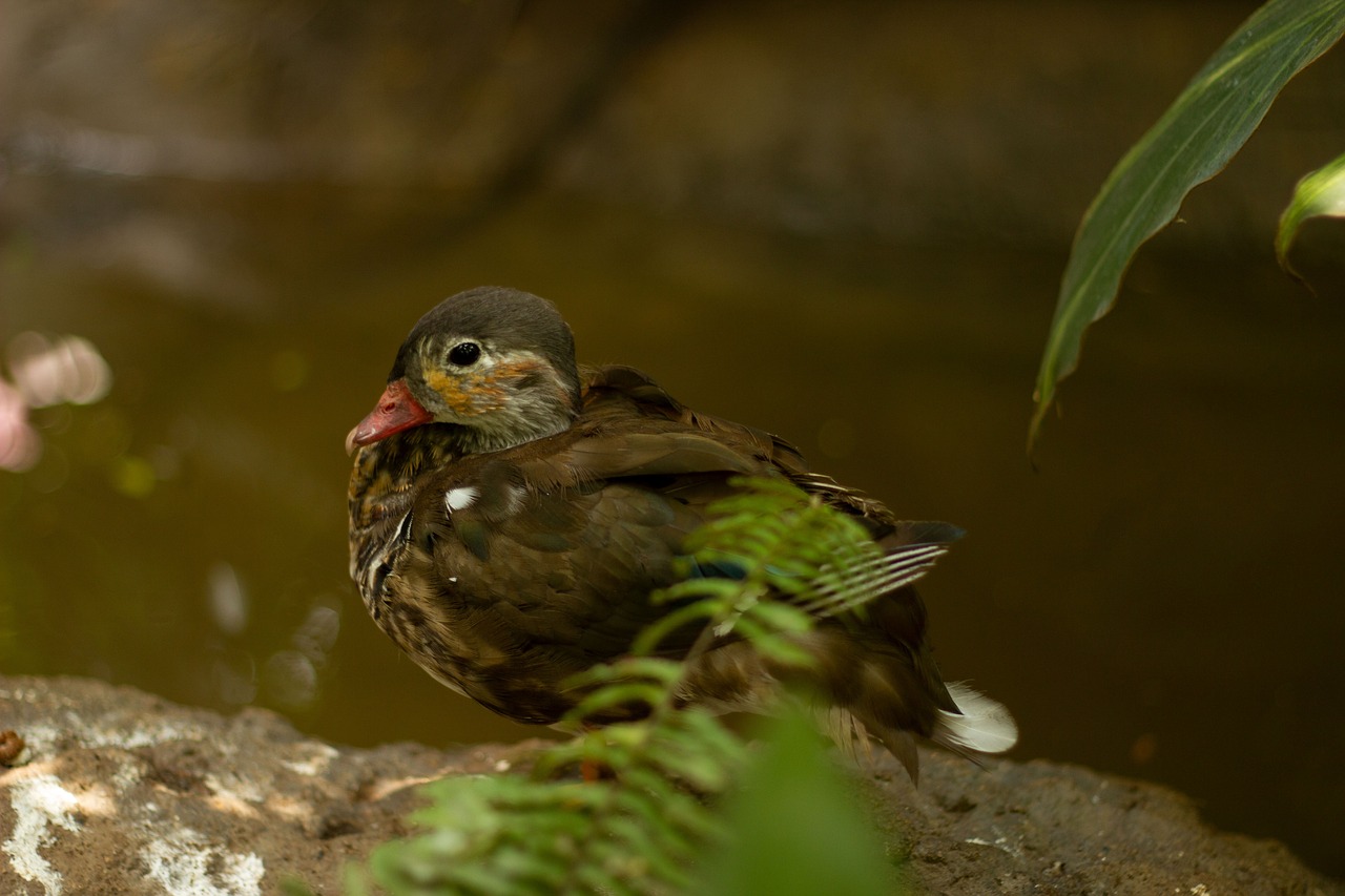 体外受精を年末年始に通院する場合はどうする？