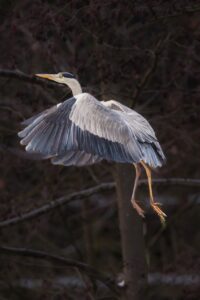 高プロラクチンが体外受精に与える影響とは？