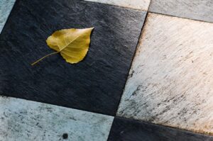 体外受精での着床不全、検査はどのように行うべき？