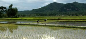 体外受精の胚移植当日は何を準備すればいい？