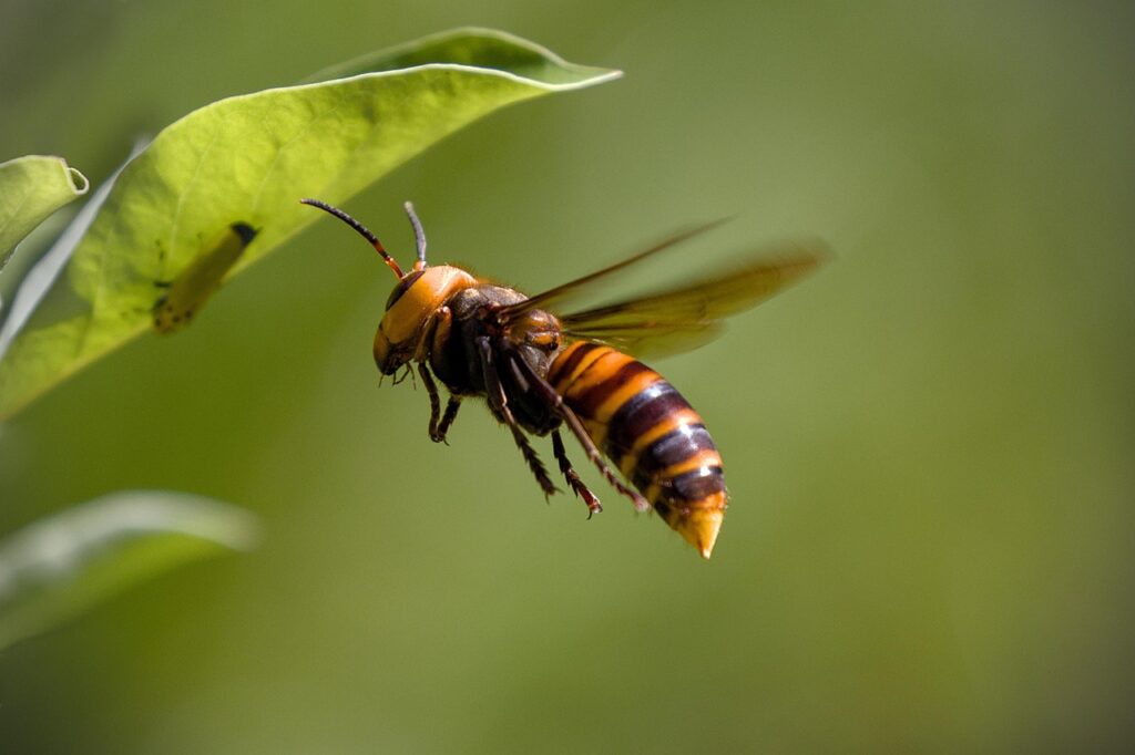 体外受精の胚移植後にフライング検査をするべき？
