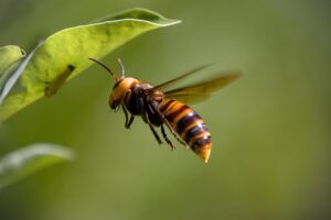 体外受精の胚移植後にフライング検査をするべき？