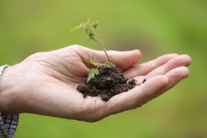 体外受精の胚移植後に性行為はしても大丈夫？