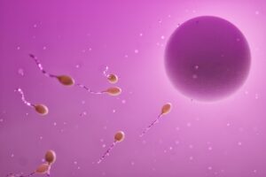 体外受精の体験談から学ぶ注意点とは？
